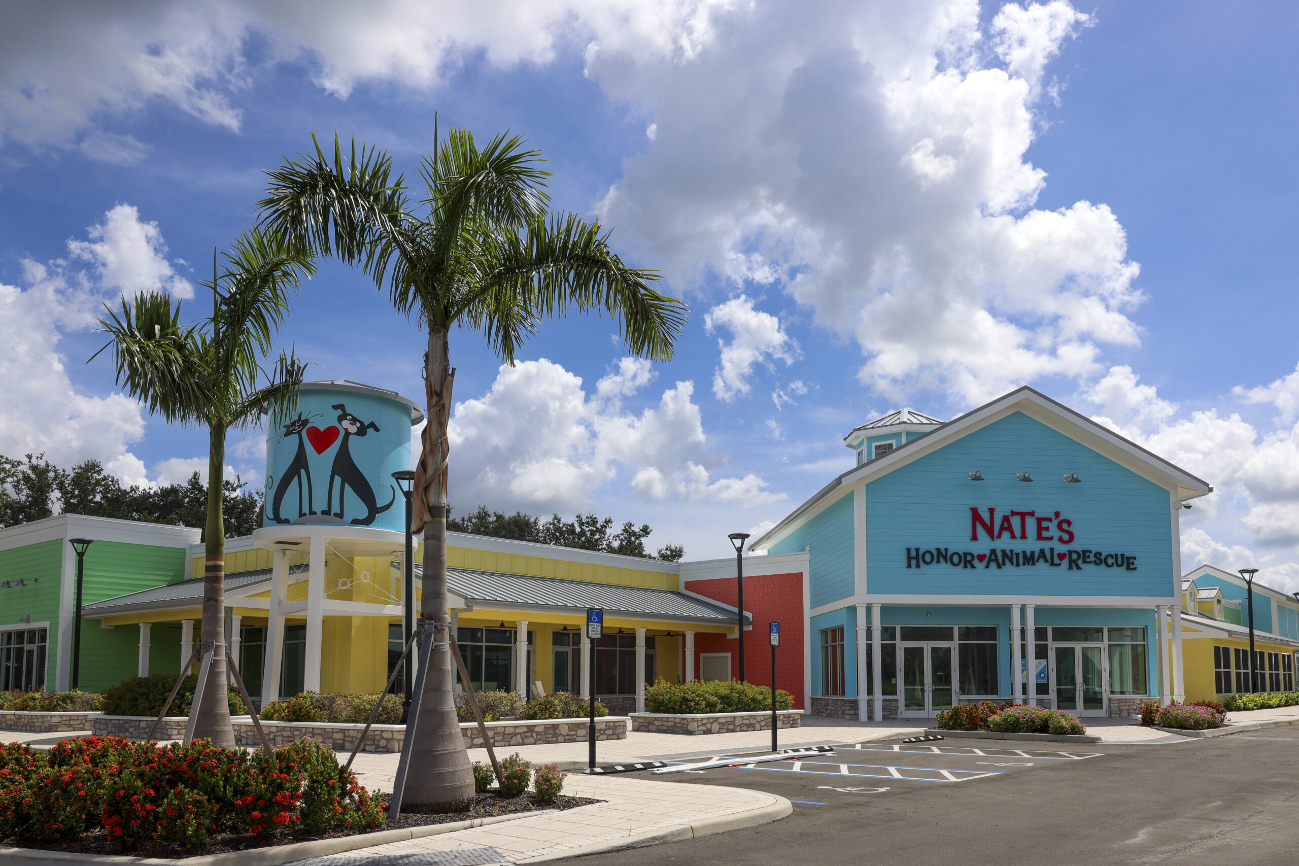 Nate's Honor Animal Rescue Center | Home | Animal Shelters Near Me Florida