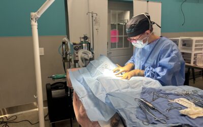 Petco Love Invests in Nate’s Lifesaving Impact in Southwest Florida