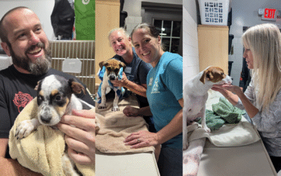 Nate’s Honor Animal Rescue Center Hosts Third Annual Adult Camp