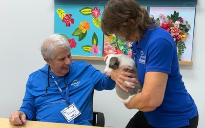 Puppies Bring Smiles to Town Square Adult Day Center
